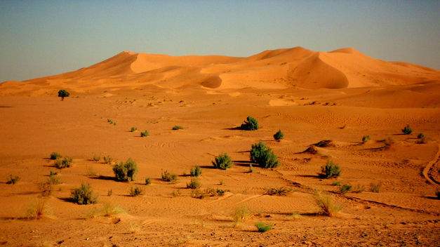 Resultado de imagen para que son los ecosistemas deserticos